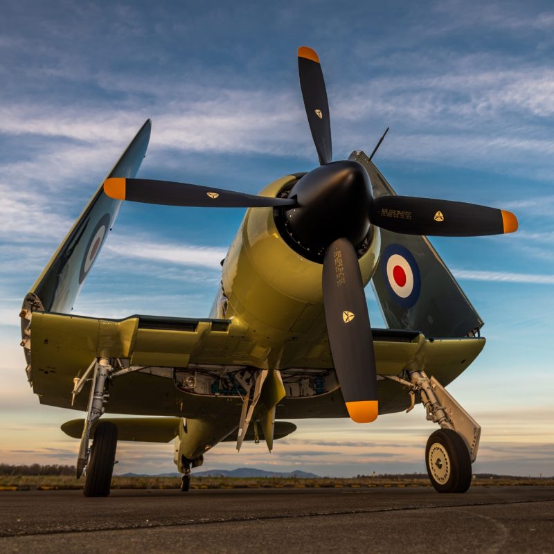 hawker-sea-fury-warbird-sale